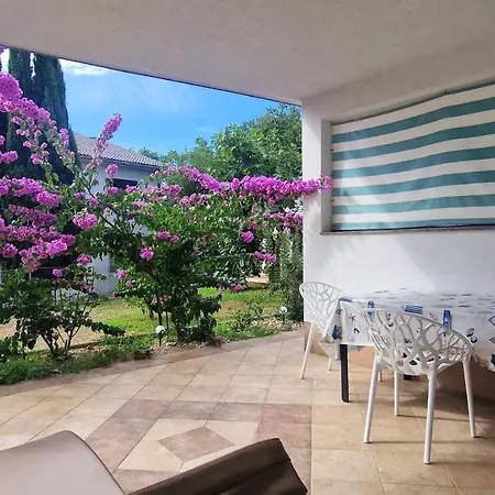 Garden Apartment