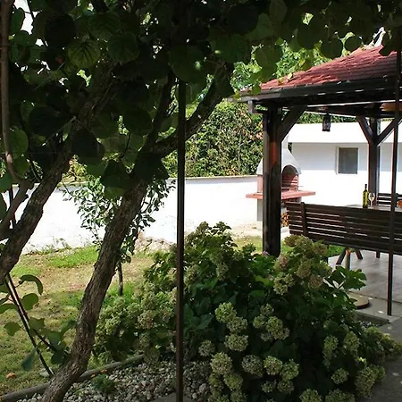 Garden *