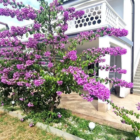 Garden Krk Town