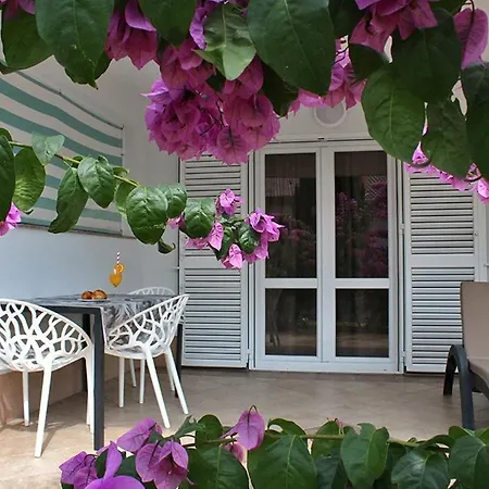 Garden *