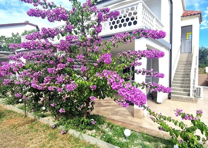 Garden Veglia